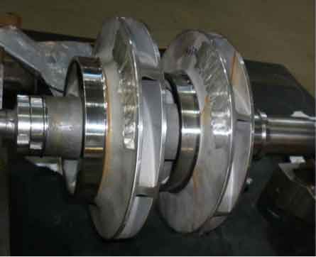 Australia Multi Stage Barrel Type Pumps